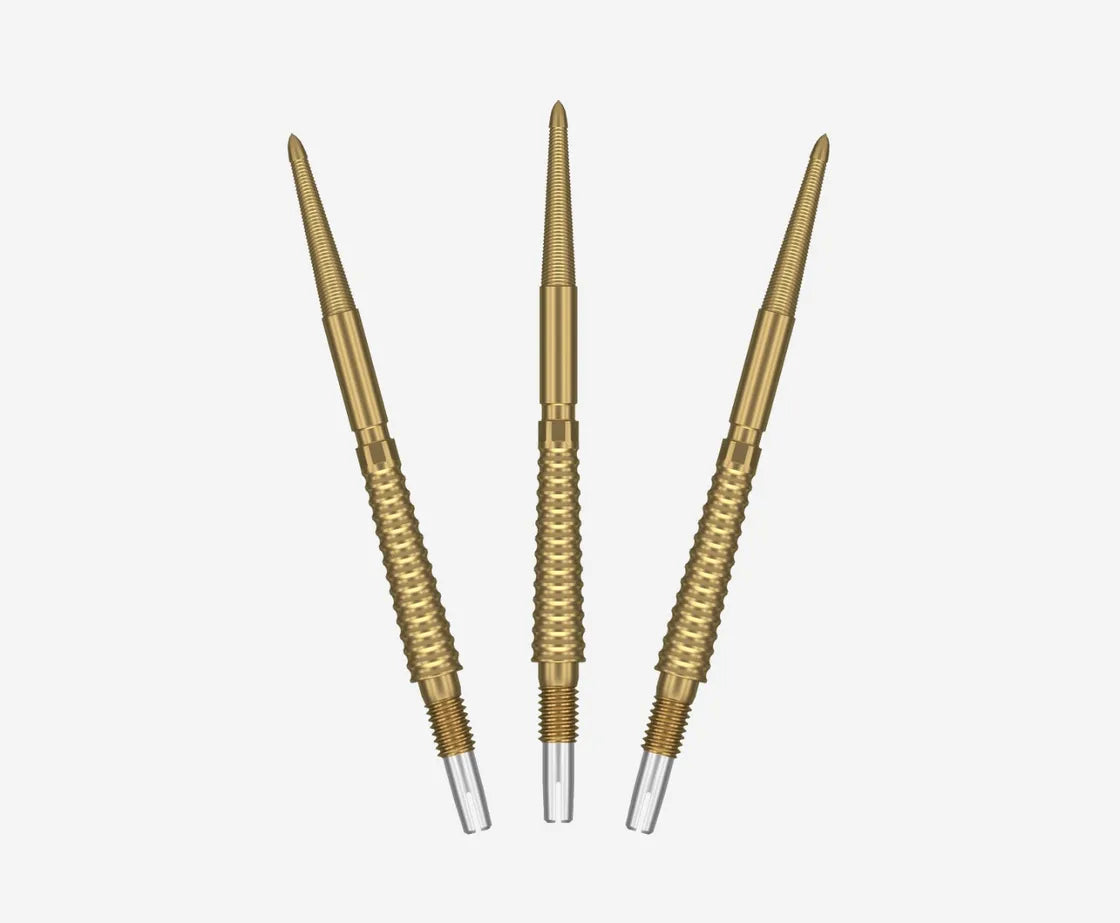 Swiss Storm LNC Point