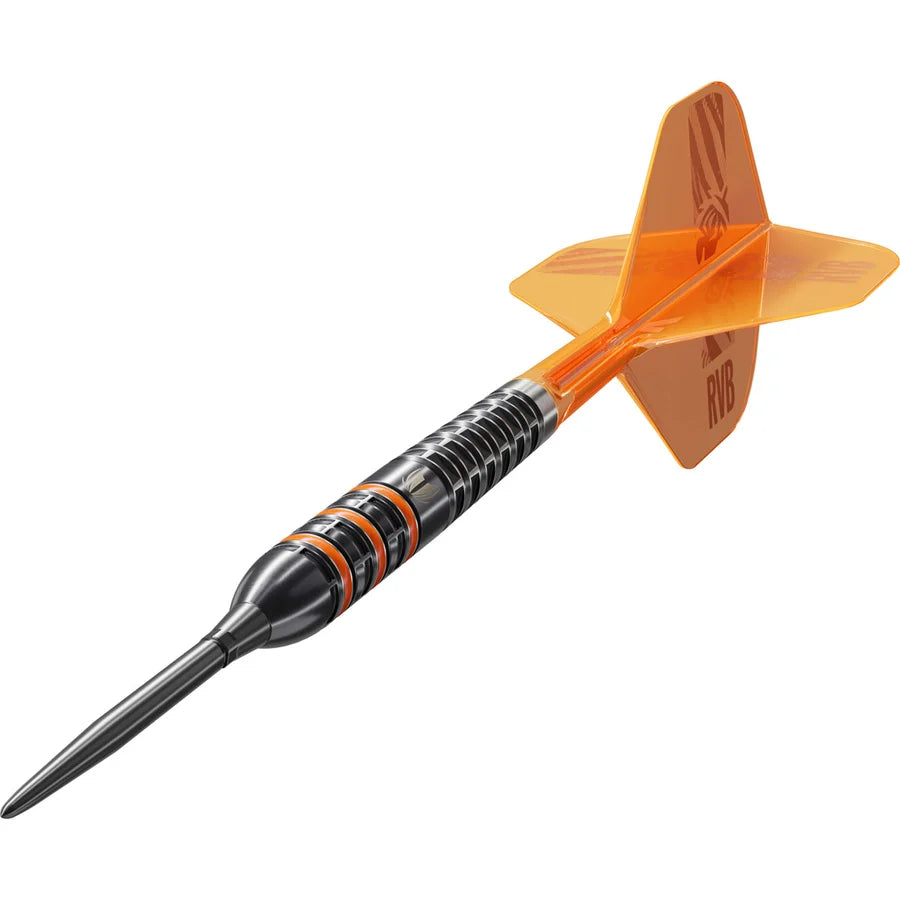 Raymond van Barneveld RVB 95K